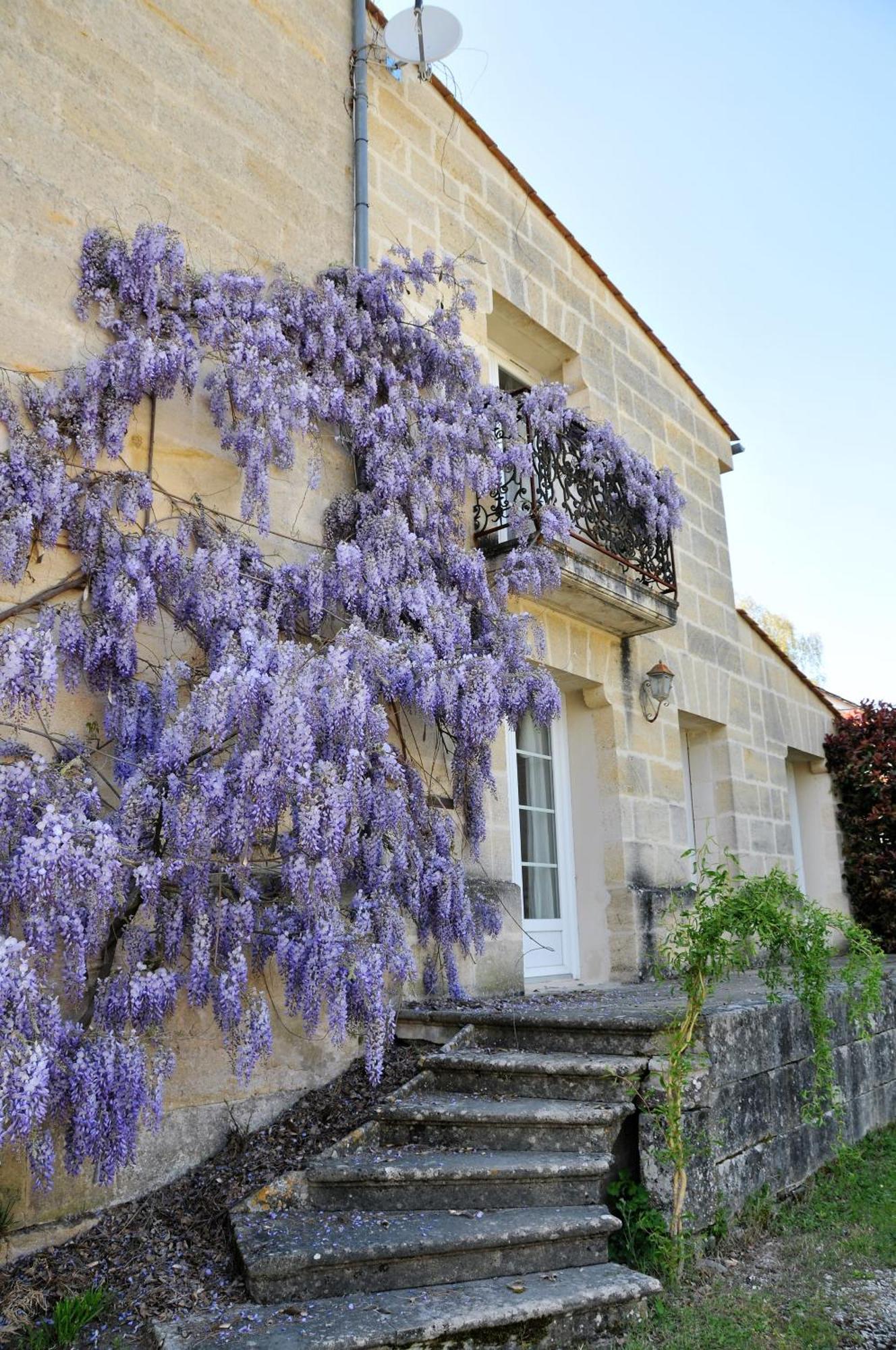 Buisson Gite Et Chambre D'Hote Laruscade Bagian luar foto